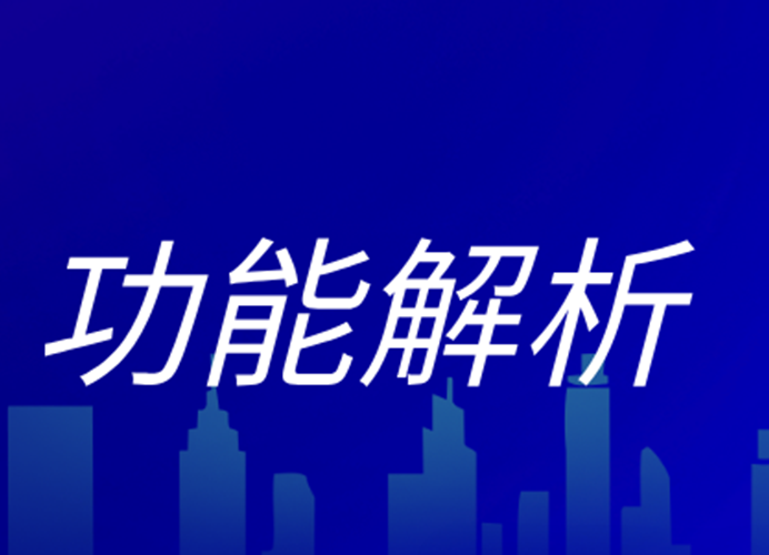 城市生命线安全运行：信息化软件功能全解析